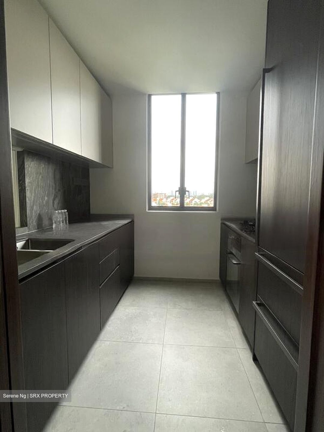 Leedon Green (D10), Condominium #436142391
